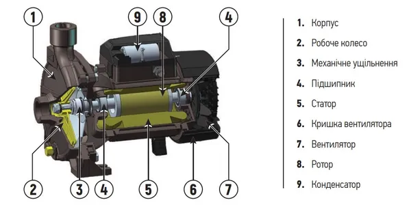 Насос поверхневий відцентровий Koer CPM-158 (KP2654)