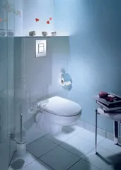 Панель змиву Grohe Skate Cosmopolitan для унітазу (38732000)
