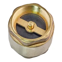 Клапан зворотній (латунь) Waterpro WP300-40 - 1 1/2" (WP3311)