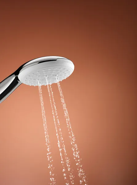 Ручний душ Grohe Tempesta 110 (27601003)