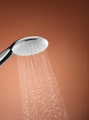 Ручний душ Grohe Tempesta 110 (27601003)
