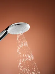 Ручний душ Grohe Tempesta 110 (27601003)