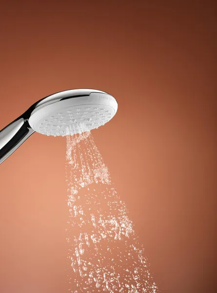 Ручний душ Grohe Tempesta 110 (27601003)