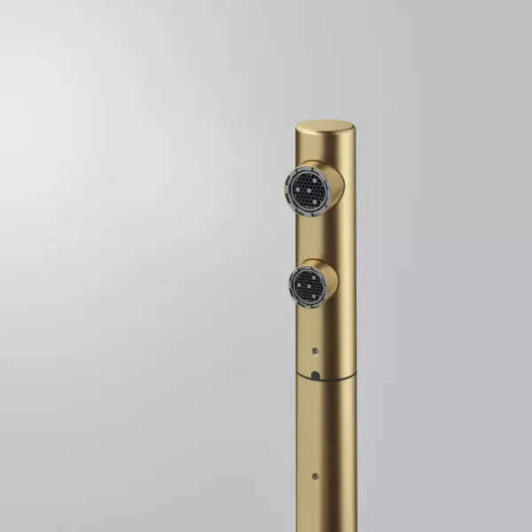 Atlas Neo Clear Water Pull Out, змішувач з витяжним виливом з під'єднанням до фільтра, PVD золото
