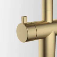Atlas Neo Clear Water Pull Out, змішувач з витяжним виливом з під'єднанням до фільтра, PVD золото