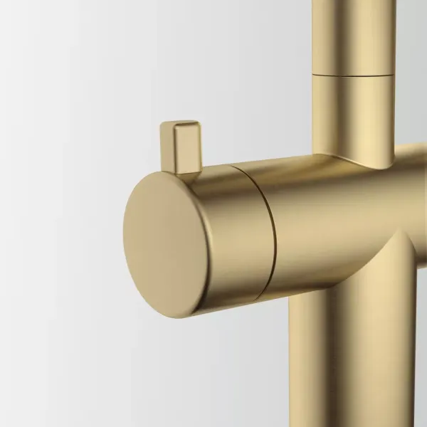 Atlas Neo Clear Water Pull Out, змішувач з витяжним виливом з під'єднанням до фільтра, PVD золото