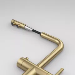 Atlas Neo Clear Water Pull Out, змішувач з витяжним виливом з під'єднанням до фільтра, PVD золото