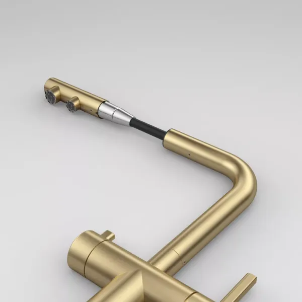 Atlas Neo Clear Water Pull Out, змішувач з витяжним виливом з під'єднанням до фільтра, PVD золото